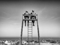De strandredders Knokke Heist : Duinbergen, Knokke-Heist, Soccoristas de Biarritz X-X'_Aurora Canero, Ter Streep, kunst, strandredders